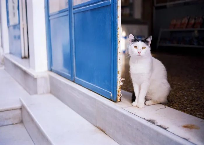 Villa Splendid Santorini With Sea View And Hottub